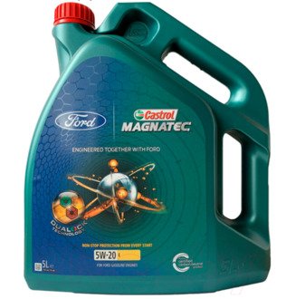 15D633 FORD Моторное масло Ford Castrol Magnatec Professional E 5W20 / 15D633 (5л)
